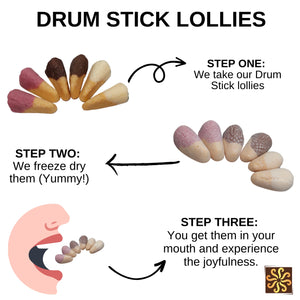 Freeze Dried Drum Stick Lollies
