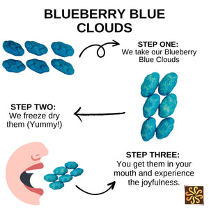 Freeze Dried Blue Blueberry Cloud Lollies