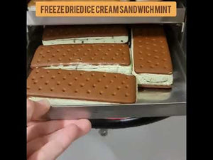Freeze Dried Ice Cream Sandwich Chocolate and Mint